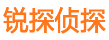 额敏市调查公司